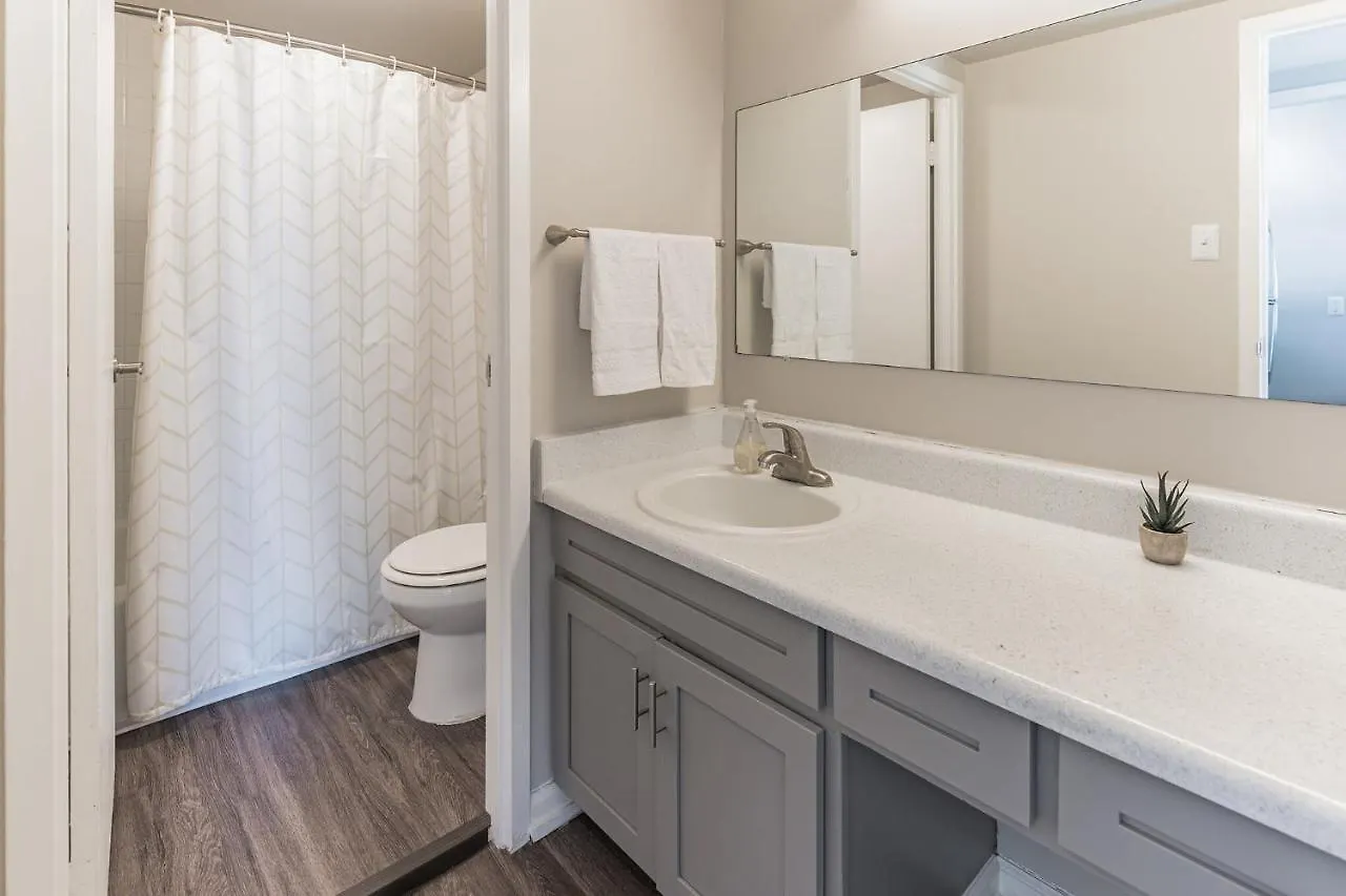 Bargain Downtown Memphis Apartment W Amenities Stati Uniti